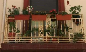 Balcón con macetas y plantas como parte de consejos ante la inminente gota fría